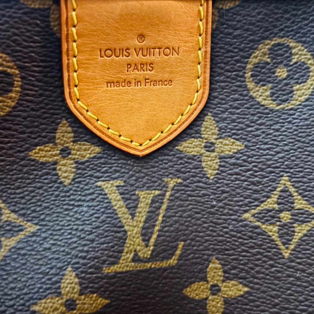 LV Mono Delightful - Picture 3 of 8
